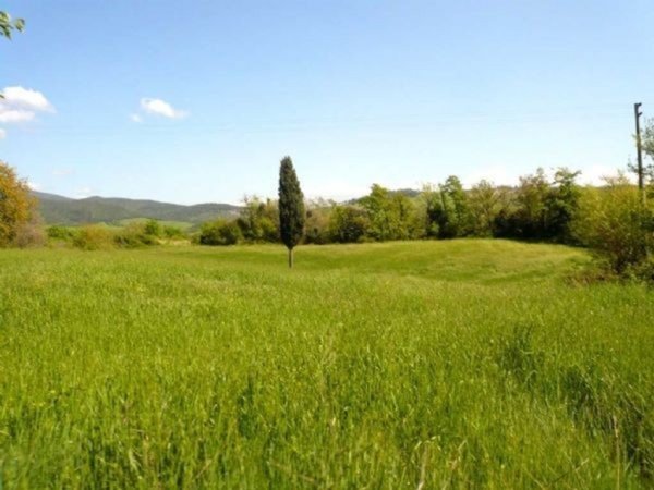 terreno agricolo in vendita a Castellina Marittima