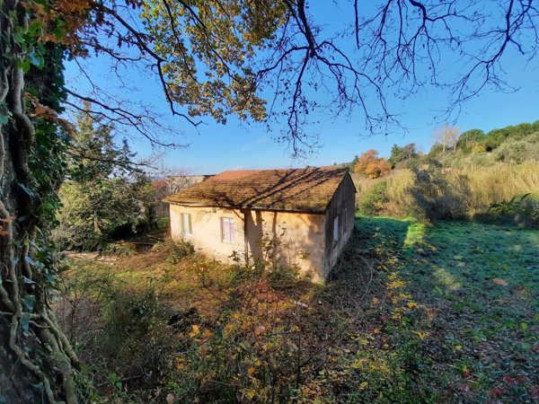 casa indipendente in vendita a Castellina Marittima