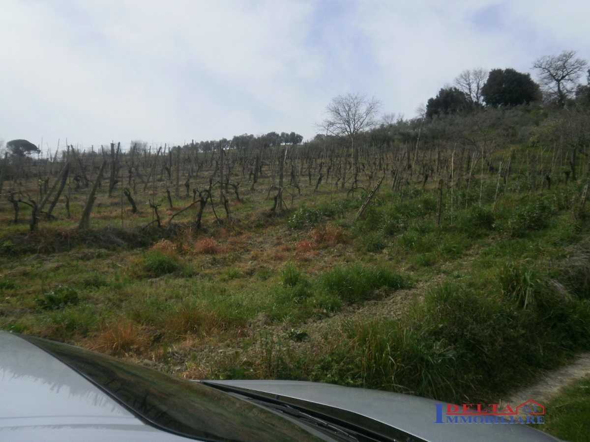 terreno agricolo in vendita a Castellina Marittima