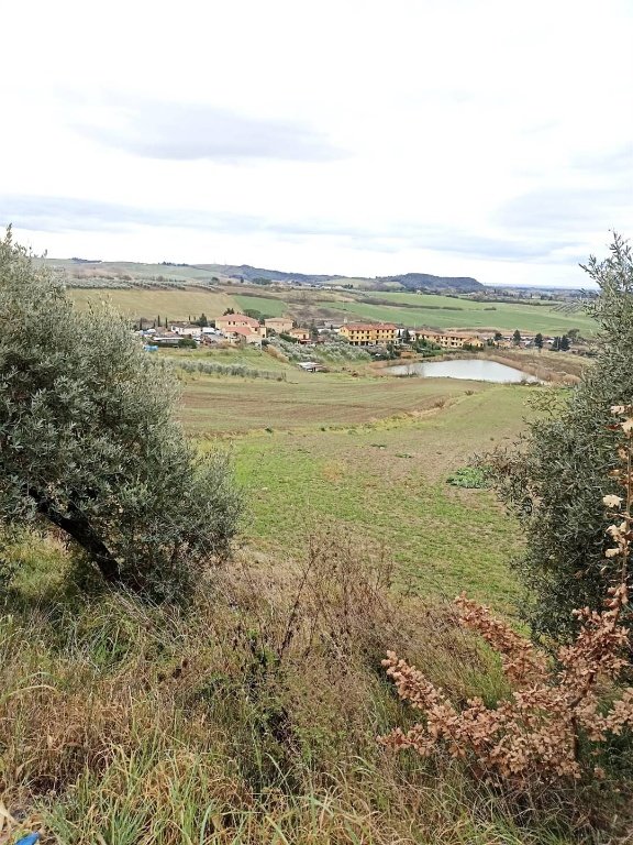 terreno agricolo in vendita a Castellina Marittima