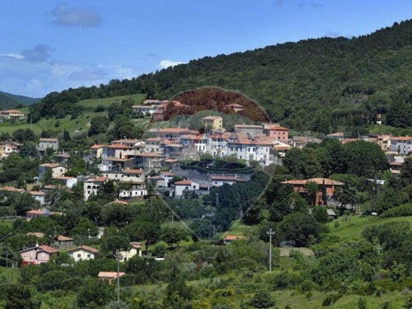 terreno agricolo in vendita a Castellina Marittima