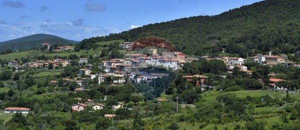 casa indipendente in vendita a Castellina Marittima