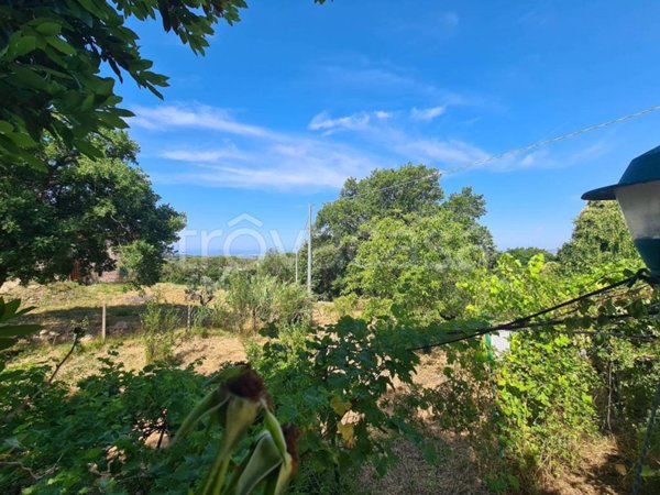 casa indipendente in vendita a Castellina Marittima
