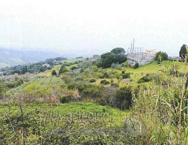 terreno agricolo in vendita a Castellina Marittima