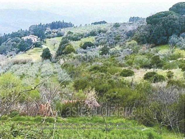 terreno agricolo in vendita a Castellina Marittima
