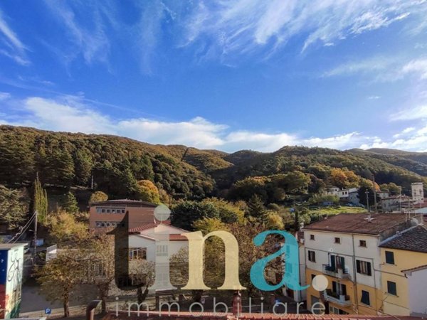 appartamento in vendita a Castellina Marittima
