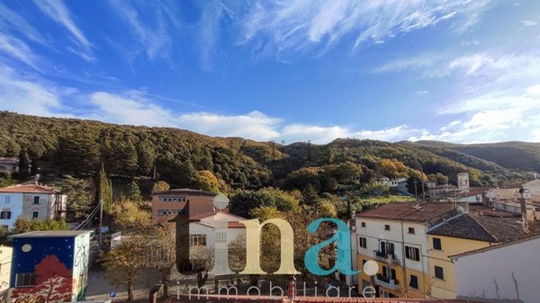 appartamento in vendita a Castellina Marittima