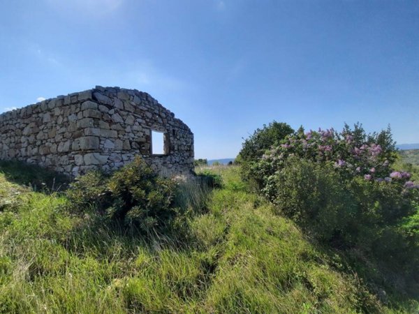 terreno agricolo in vendita a Castellina Marittima