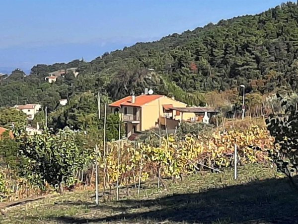 casa indipendente in vendita a Castellina Marittima