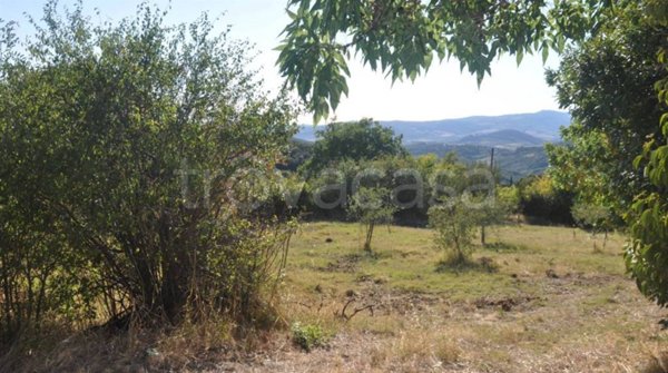 monolocale in vendita a Castellina Marittima