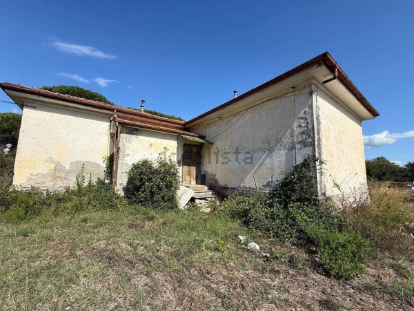 azienda agricola in vendita a Castellina Marittima