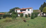 casa indipendente in vendita a Castellina Marittima