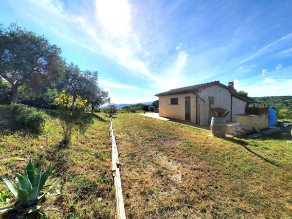 locale commerciale in vendita a Castellina Marittima