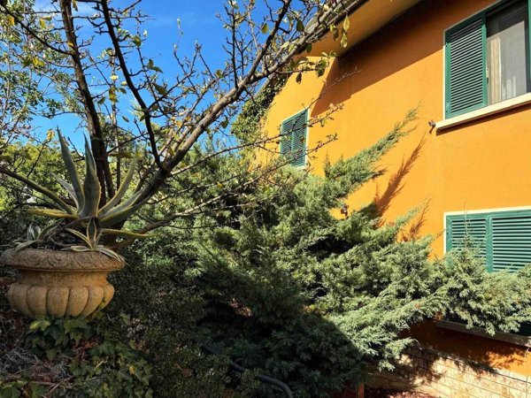 casa indipendente in vendita a Castellina Marittima