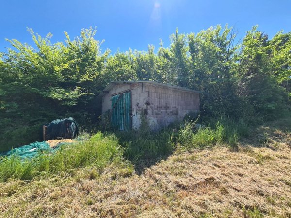 terreno agricolo in vendita a Castellina Marittima