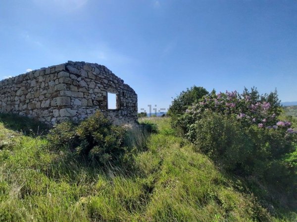 appartamento in vendita a Castellina Marittima