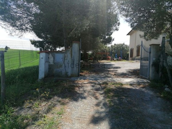 esavano in vendita a Castellina Marittima