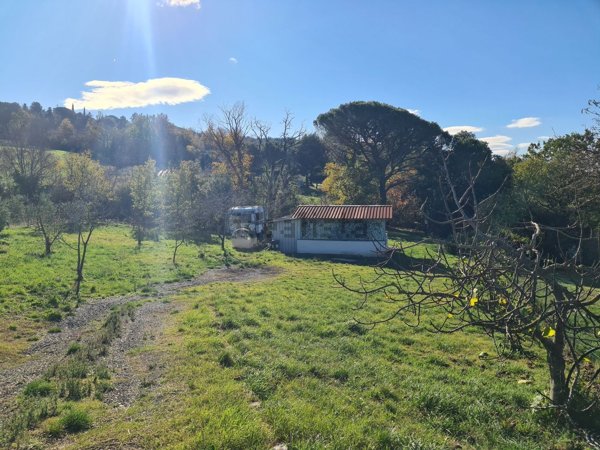 terreno agricolo in vendita a Castellina Marittima