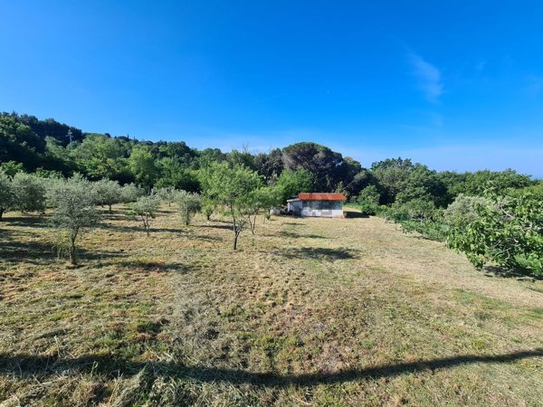 terreno agricolo in vendita a Castellina Marittima