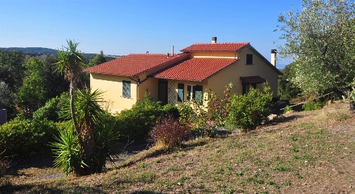 casa indipendente in vendita a Castellina Marittima