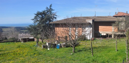 casa indipendente in vendita a Castellina Marittima