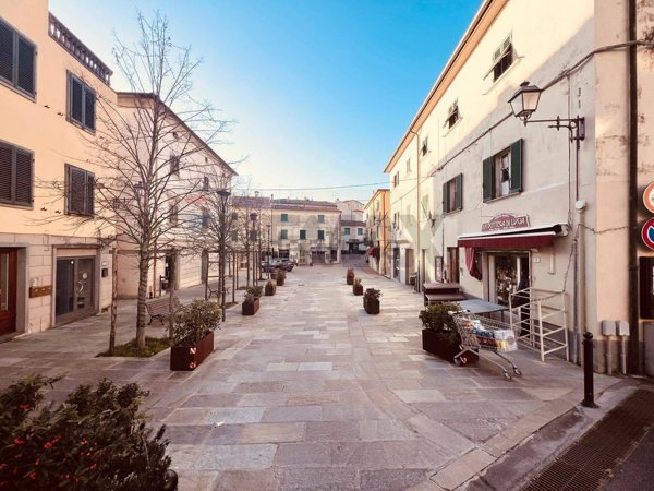 appartamento in vendita a Castellina Marittima