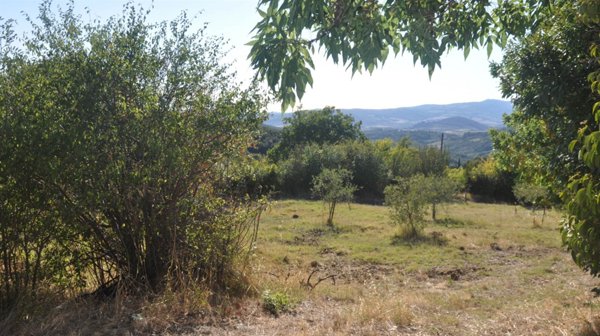 terreno agricolo in vendita a Castellina Marittima