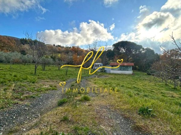 terreno agricolo in vendita a Castellina Marittima