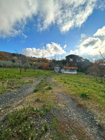 terreno agricolo in vendita a Castellina Marittima