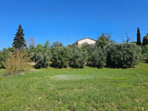 casa indipendente in vendita a Castellina Marittima