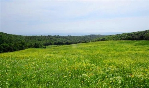 appartamento in vendita a Castellina Marittima