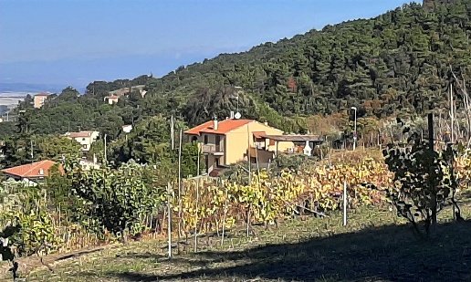 casale in vendita a Castellina Marittima