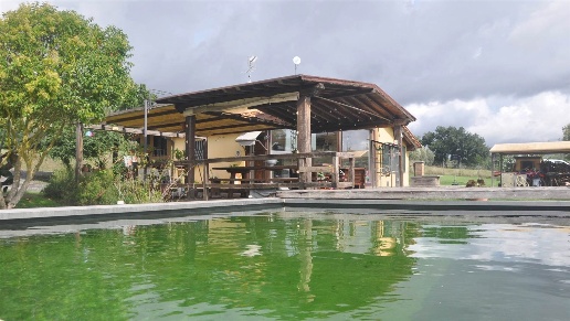 casale in vendita a Castellina Marittima