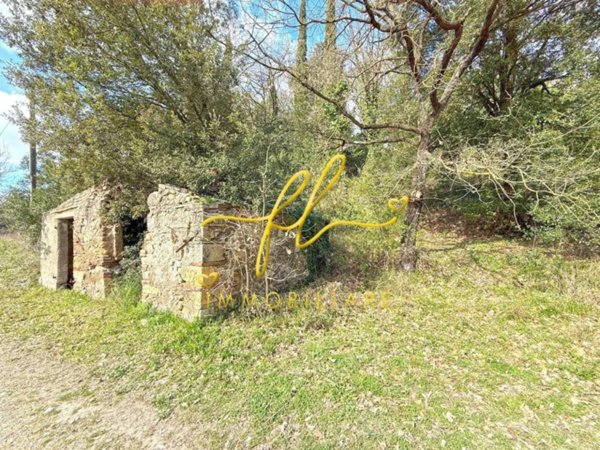 terreno agricolo in vendita a Castellina Marittima