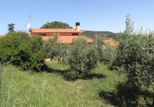 casa indipendente in vendita a Castellina Marittima