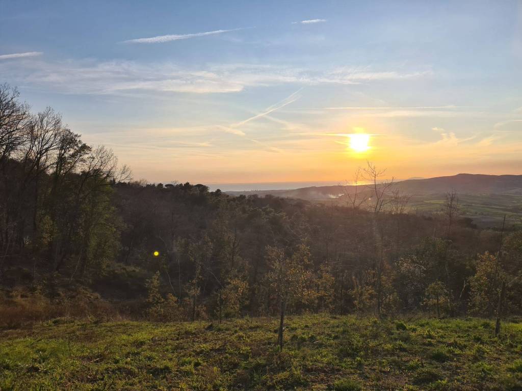 terreno agricolo in vendita a Castellina Marittima