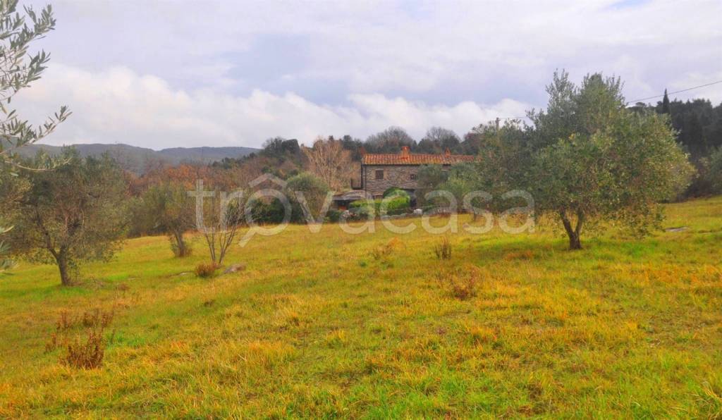 appartamento in vendita a Castellina Marittima