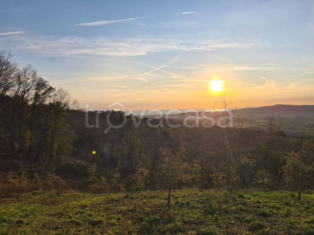 terreno agricolo in vendita a Castellina Marittima