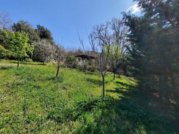 casa indipendente in vendita a Castellina Marittima