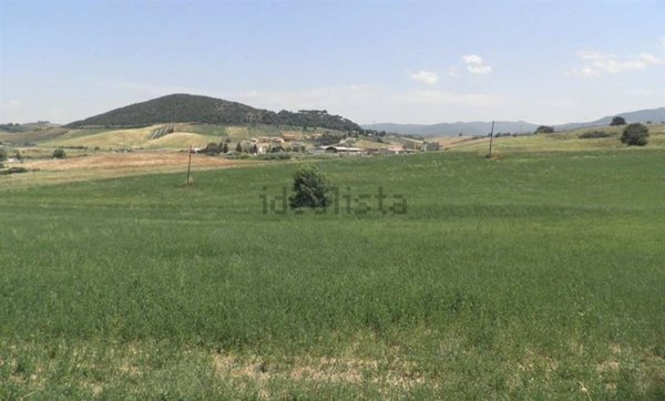 terreno agricolo in vendita a Castellina Marittima in zona Terriccio