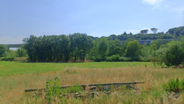 casa indipendente in vendita a Castellina Marittima