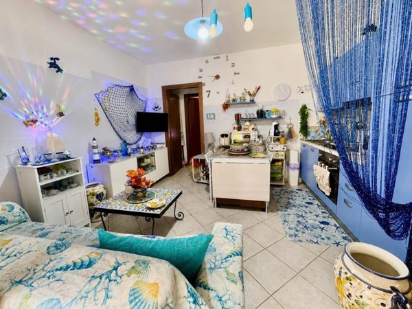 appartamento in vendita a Castellina Marittima