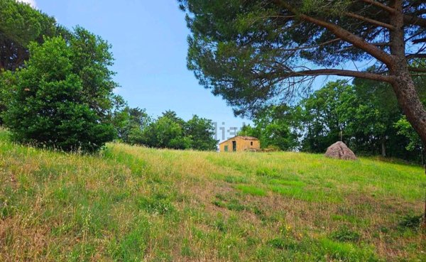 appartamento in vendita a Castellina Marittima