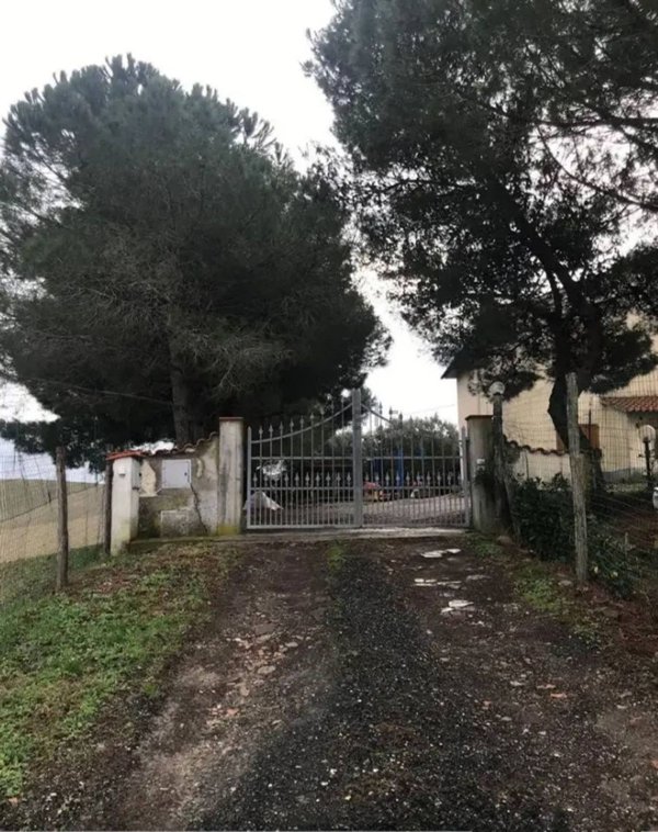casa indipendente in vendita a Castellina Marittima in zona Terriccio