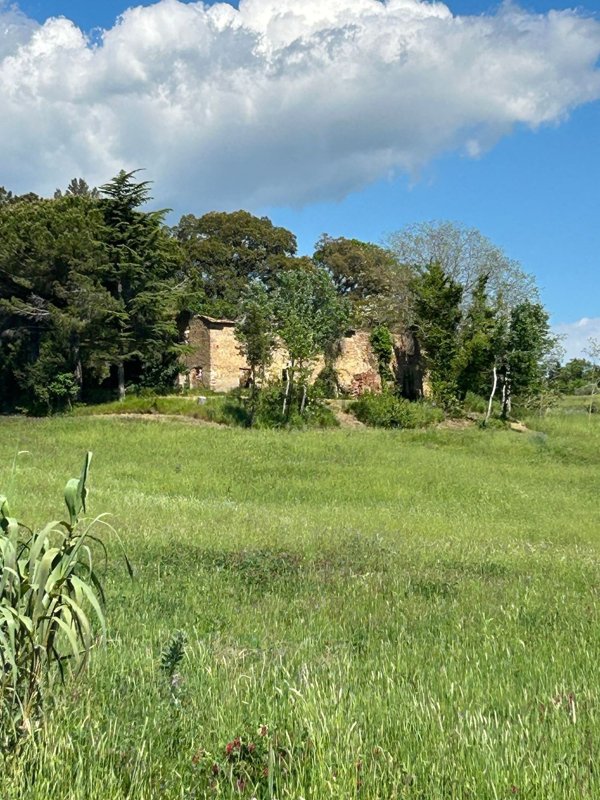 casale in vendita a Castellina Marittima in zona Terriccio