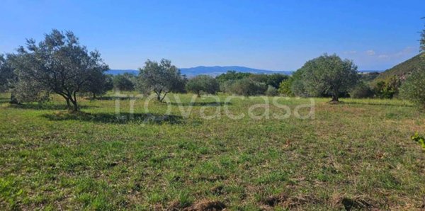 terreno agricolo in vendita a Castellina Marittima in zona Terriccio
