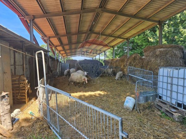 azienda agricola in vendita a Castelnuovo di Val di Cecina