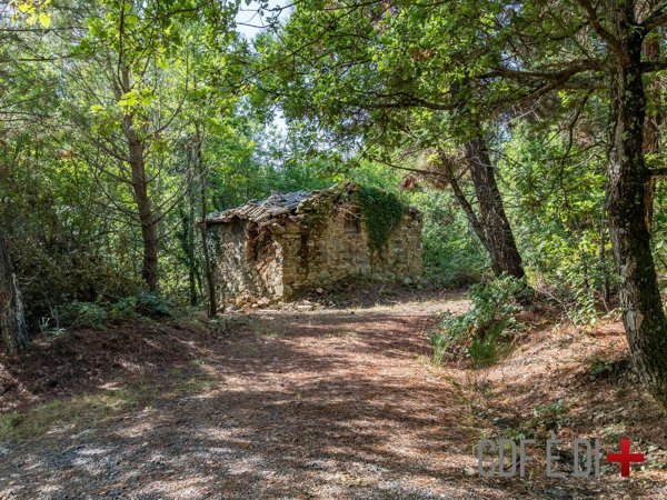 appartamento in vendita a Castelnuovo di Val di Cecina