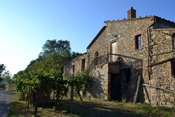 azienda agricola in vendita a Castelnuovo di Val di Cecina