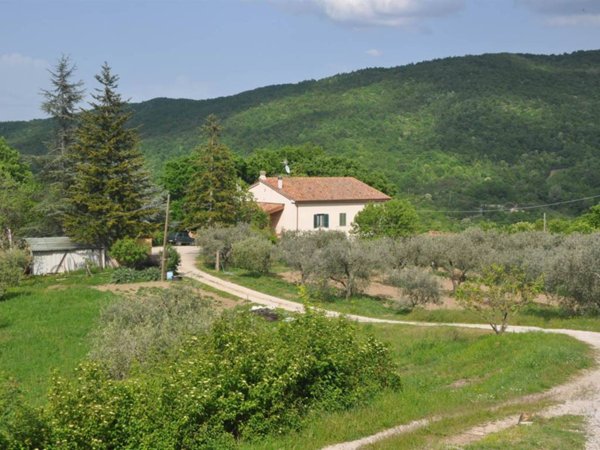 casale in vendita a Castelnuovo di Val di Cecina